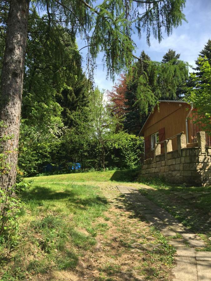 Ferienhaus "Am Bergblick" 赛博尼茨 外观 照片